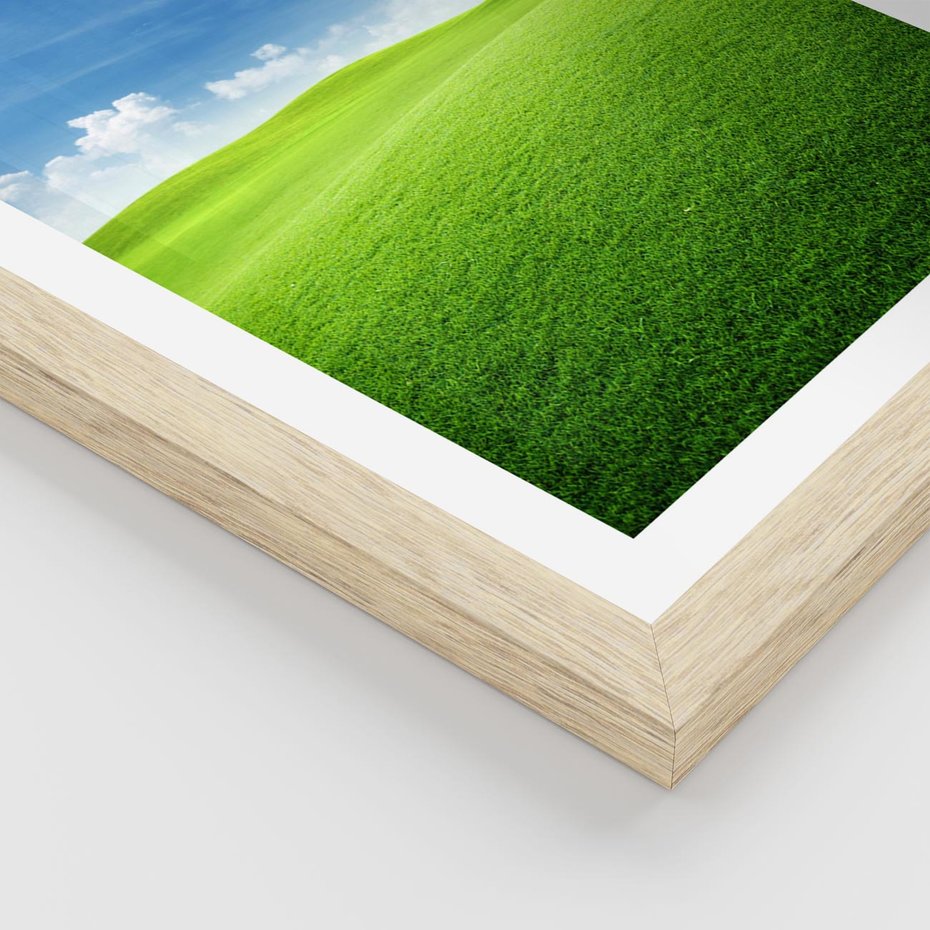 Plakat w ramie 40x50 - Łąka pod Niebem - łąka, niebo - rama drewno