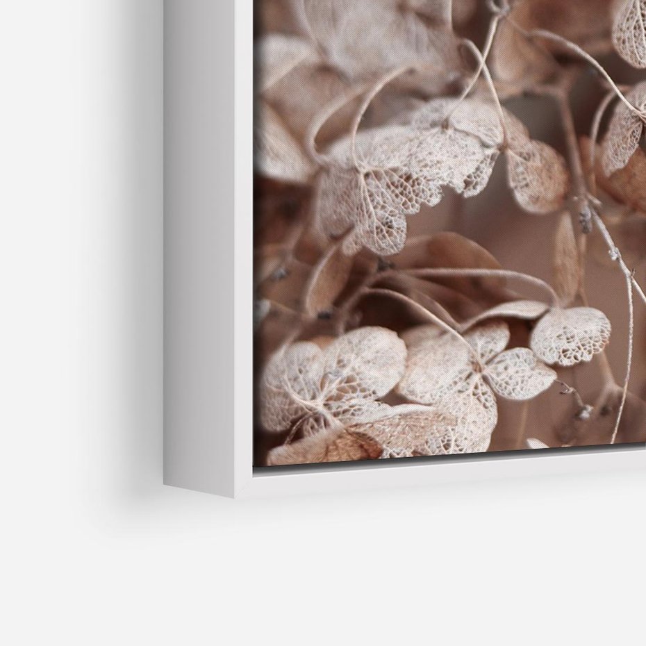 Obraz w ramie 70x50 - Przemijająca Piękność - fotografia, zbliżenie - rama biała