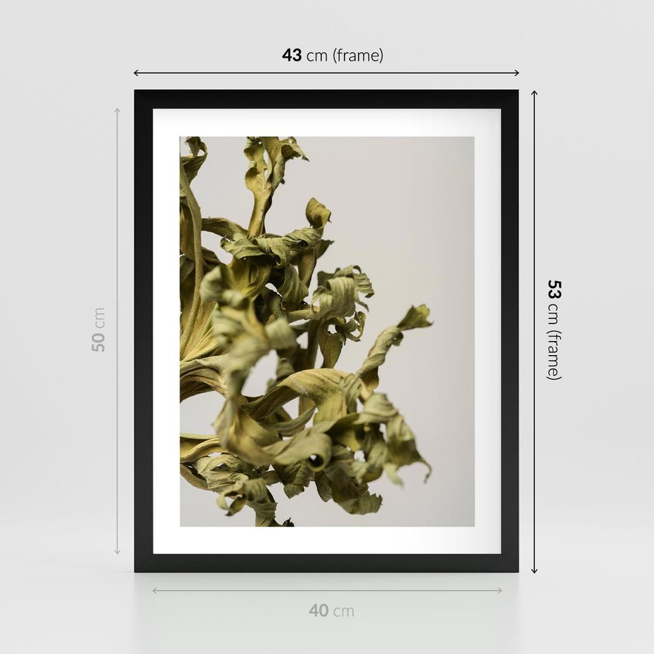 Plakat w ramie 40x50 - Odejście pory deszczowej - suche, trawy - rama czarna