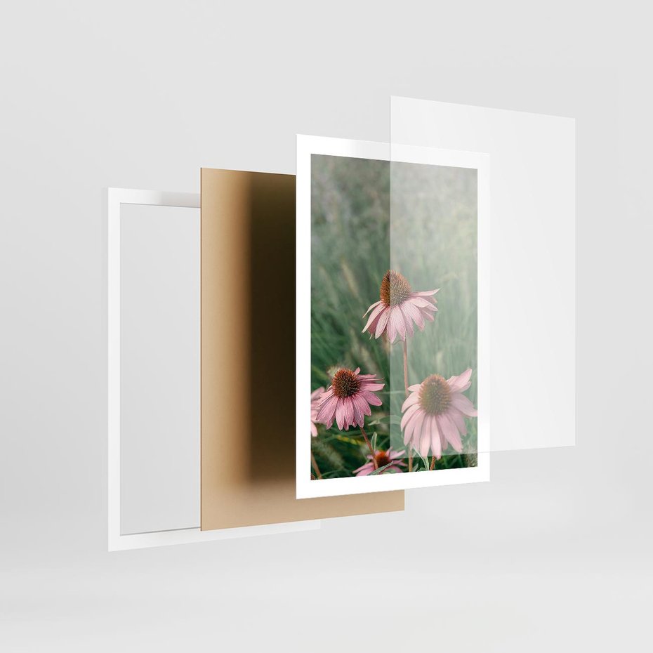 Plakat w ramie 50x70 - Natura w Pełnym Blasku - kwiaty na łące, różowe kwiaty polne - rama biała