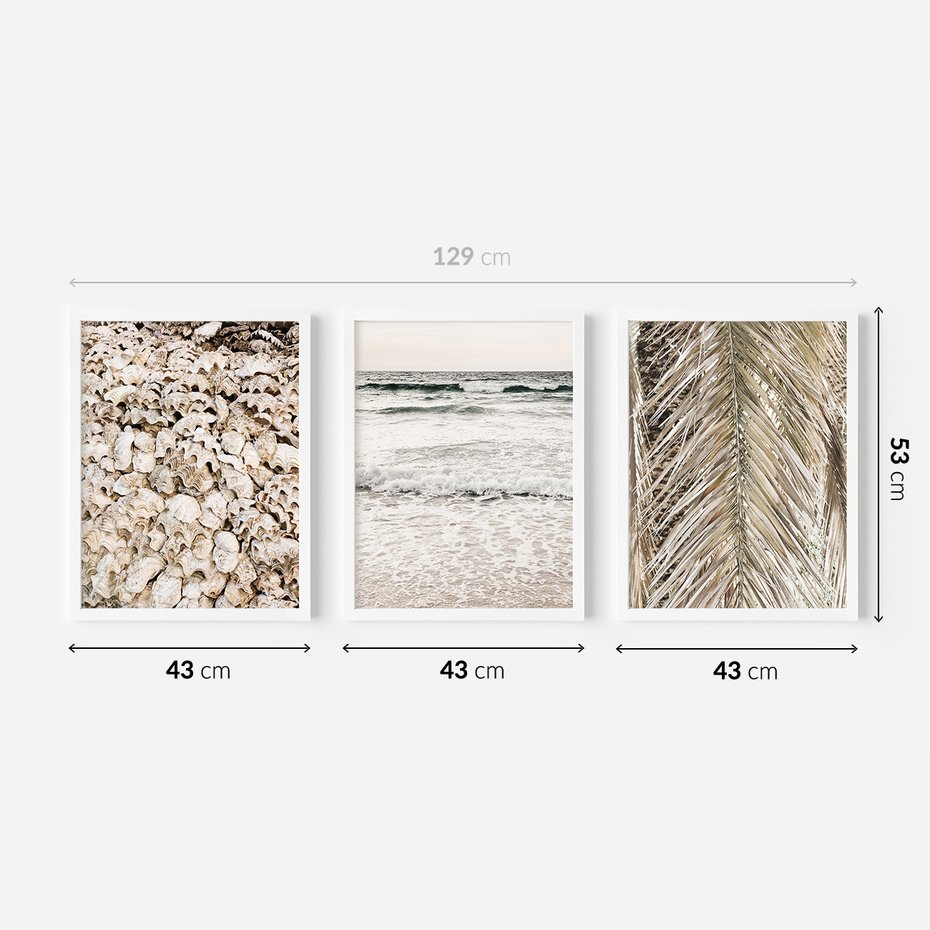 Zestaw obrazy w ramie 40x50 galeria - Plaża, boho, palmy, muszle, morze - rama biała