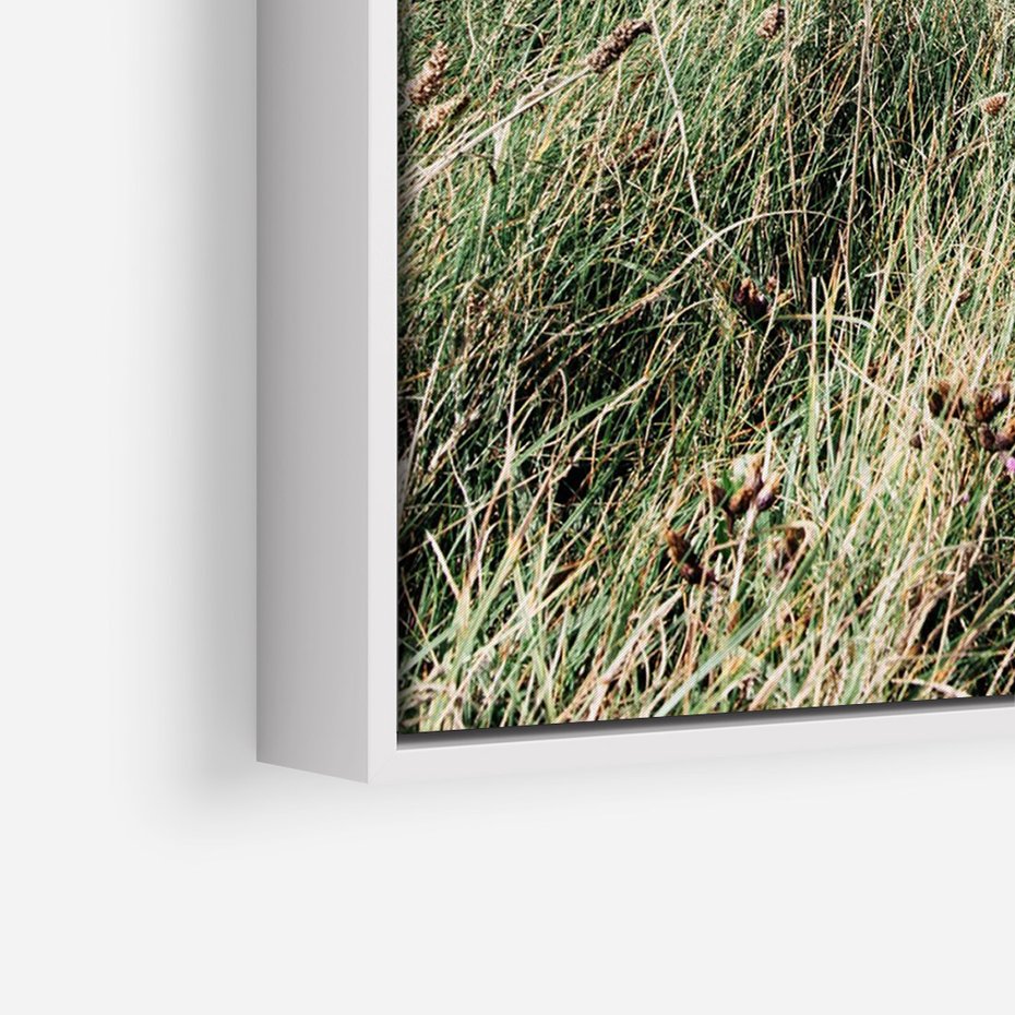 Obraz w ramie 70x100 - Harmonia Natury - widok z wydm, wydmy porośnięte trawami - rama biała