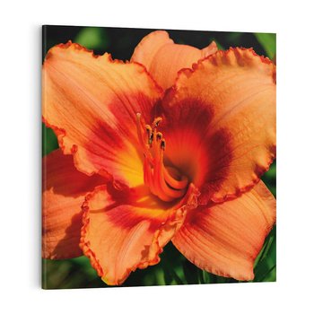 Obraz na płótnie 60x60 - Kwiatowa harmonia natury - kwiat, kwiaty