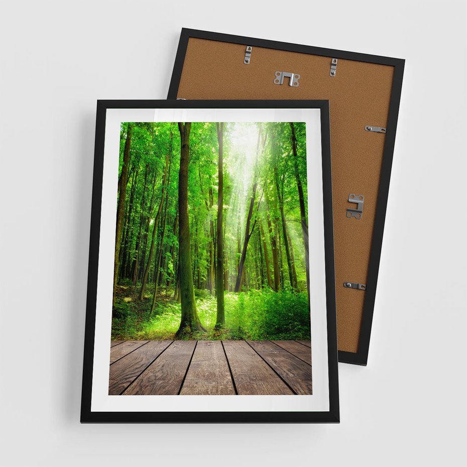 Plakat w ramie 50x70 - Spacer po urokliwej dróżce w lesie - las, dróżka - rama czarna