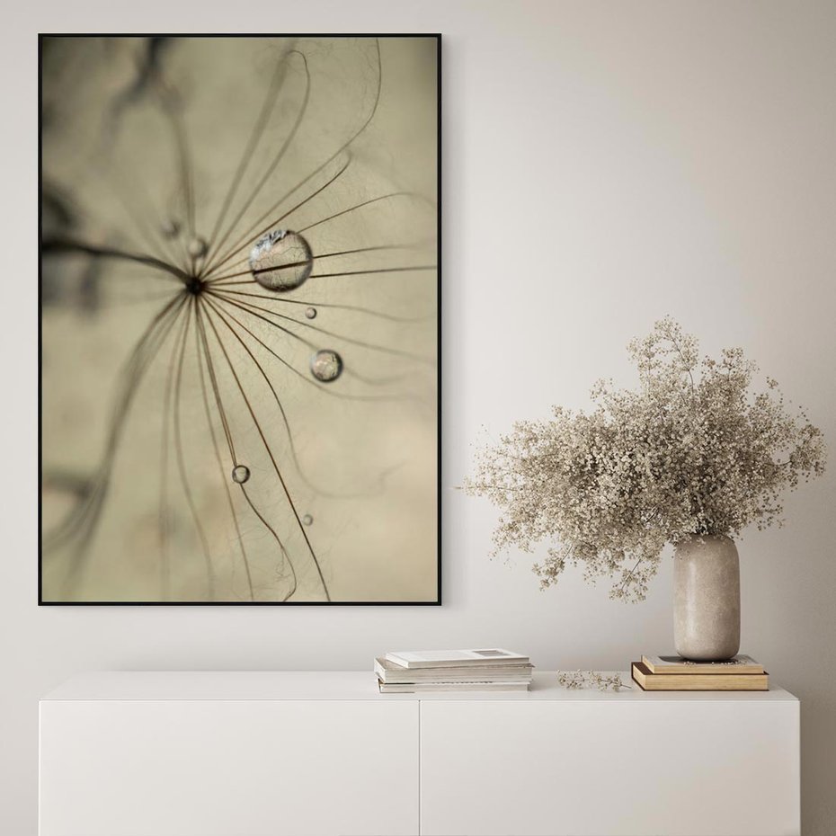 Obraz w ramie 70x100 - Delikatność dmuchawców - dmuchawce, krople - rama czarna