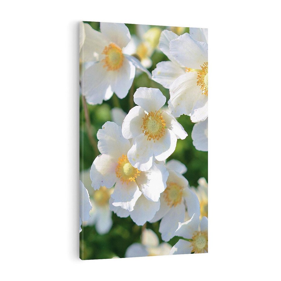 Obraz na płótnie 50x70 - Kwiatowy Raj - kwiat, kwiaty