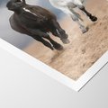 Plakat bez ramy 21x30 - Siła koni w galopie - konie, galop