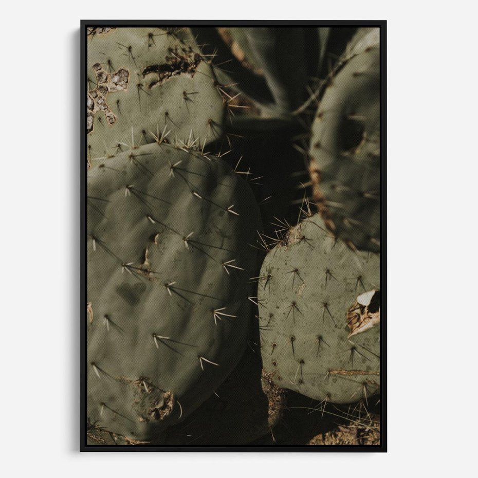 Obraz w ramie 70x100 - Urok Egzotyki - kaktusy, boho - rama czarna