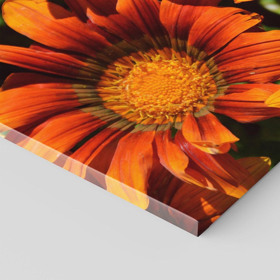 Obraz na płótnie 120x80 - Kwiatowa Esencja - kwiat, kwiaty