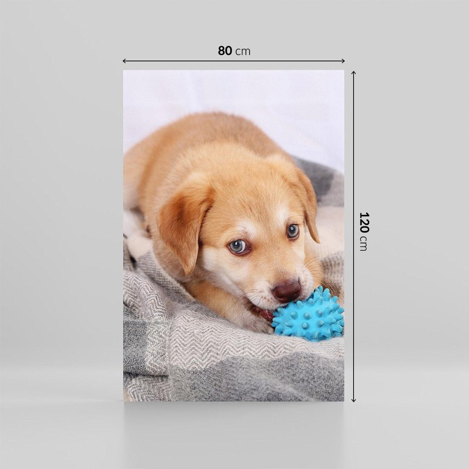 Obraz na płótnie 80x120 - Radość w zabawie: Piesek jako najlepszy przyjaciel - pies, piesek