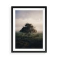 Plakat w ramie 50x70 - Zamglona Prostota - artystyczna fotografia, samotne drzewo na zamglonej łące - rama czarna