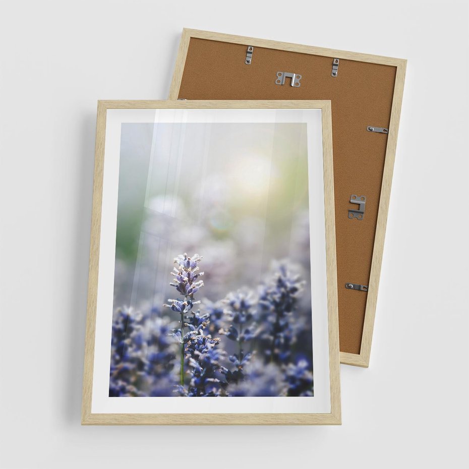 Plakat w ramie 50x70 - Delikatna Uroda Natury - wrzosy, fiolet - rama drewno
