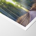 Plakat bez ramy 30x40 - Urokliwa dróżka w lesie - las, dróżka