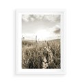 Plakat w ramie 50x70 - Łąka w Klimacie Sepii - suche trawy, łąka - rama biała