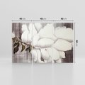 Obraz na płótnie 120x80 - Tekstura Kwiatu - białe kwiaty, duży kwiat