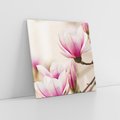 Obraz na płótnie 60x60 - Urok Magnolii - magnolie, kwiaty