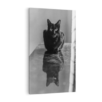 Obraz na płótnie 80x120 - Kocie Oczy - kot, czarno białe zdjęcie