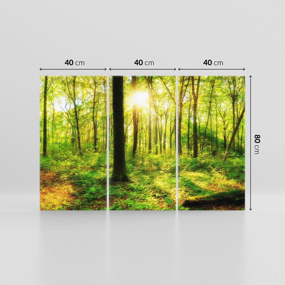 Obraz na płótnie 120x80 - Mistyfikujący las - las, drzewa