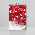 Obraz na płótnie 50x70 - Delikatność Kwiatowej Elegancji - orchidea, kwiat