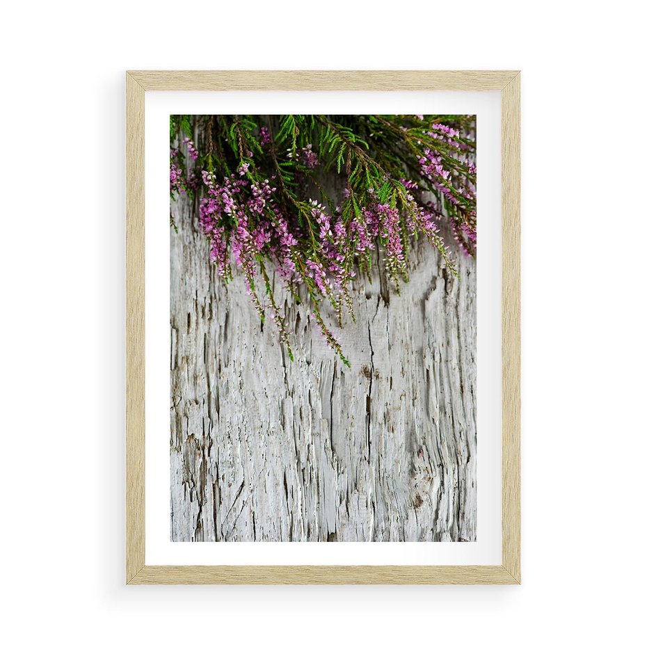 Plakat w ramie 50x70 - Fioletowe Wrzosy - wrzosy, fiolet - rama drewno