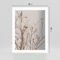 Plakat bez ramy 40x50 - Boho gałązki suche - gałązki, suche