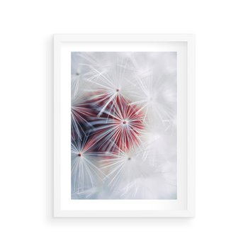 Plakat w ramie 40x50 - Minimalistyczna Delikatność - zbliżenie, dmuchawce - rama biała