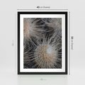 Plakat w ramie 40x50 - Ulotna Piękność Natury - makro, dmuchawce - rama czarna