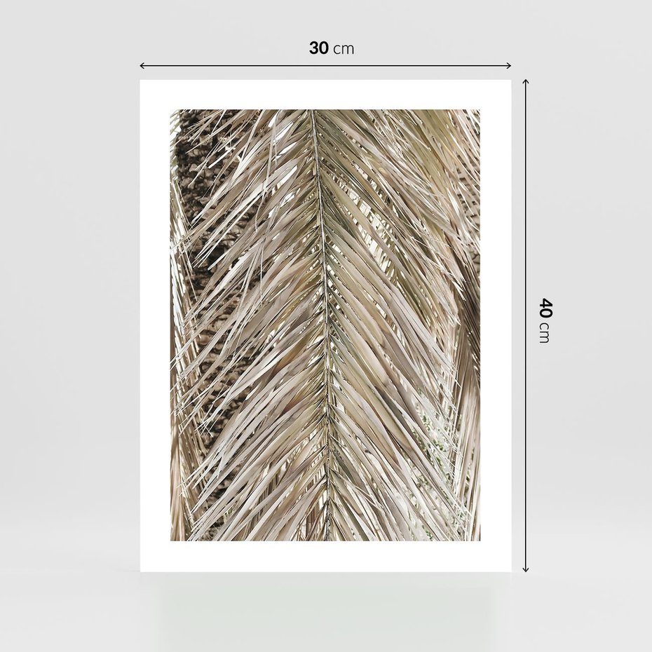 Plakat bez ramy 30x40 - Boho Urok Palmy: Zbliżenie Natury - sucha palma, zbliżenie