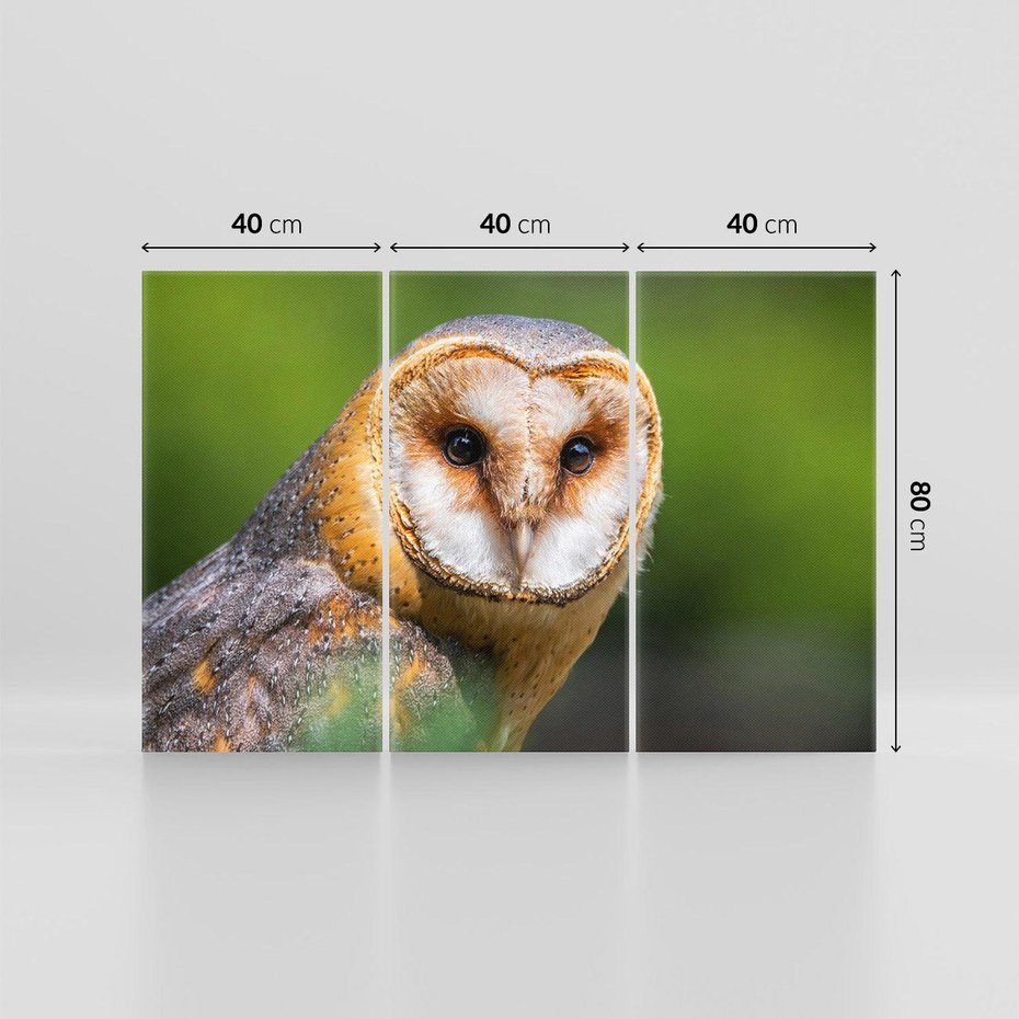 Obraz na płótnie 120x80 - Sowa nocą - sowa, ptak