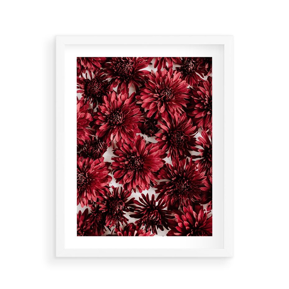 Plakat w ramie 40x50 - Energia Kwiatów - czerwone kwiaty, kompozycja - rama biała