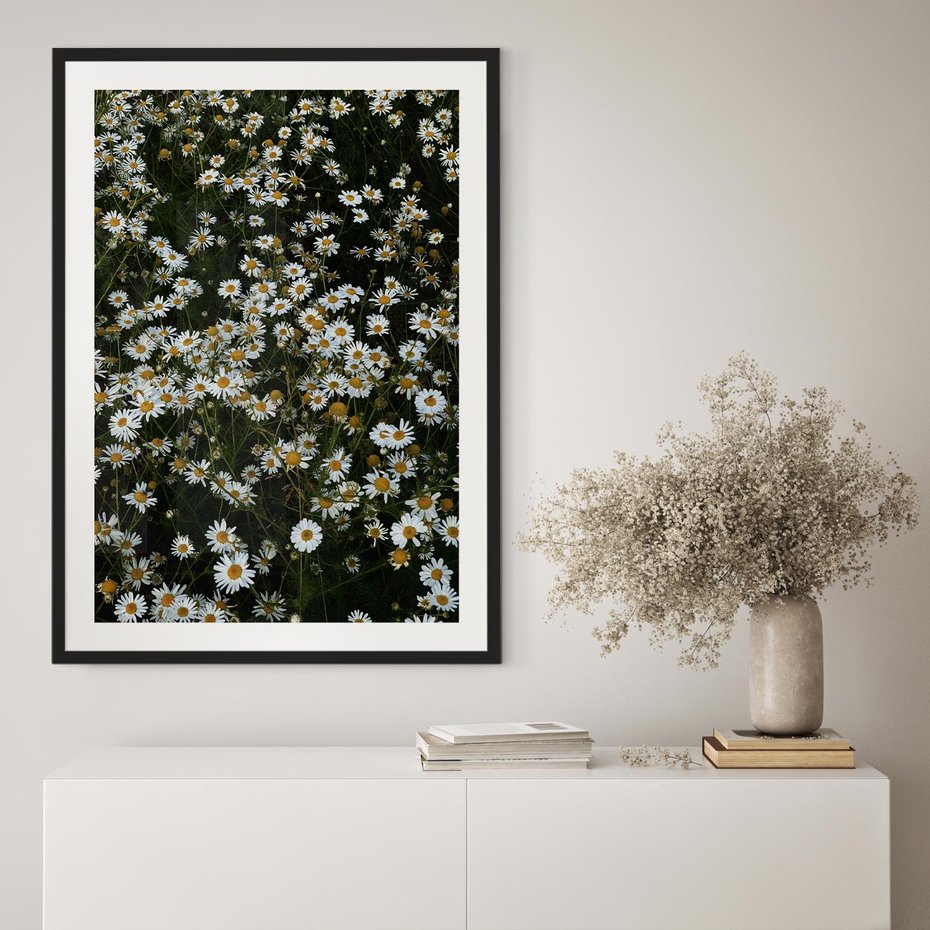 Plakat w ramie 40x50 - Stokrotkowa Idylla na Łące - łąka, stokrotki - rama czarna