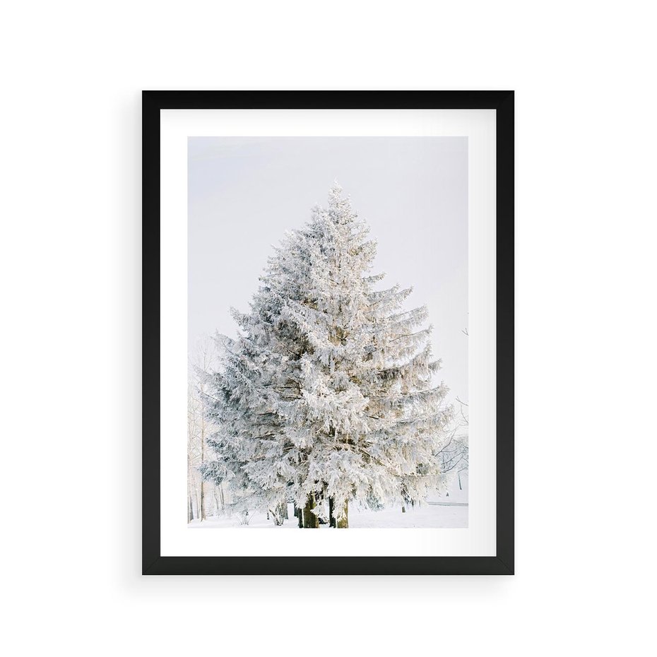 Plakat w ramie 30x40 - Zimowa Poezja w Ośnieżonym Drzewie - ośnieżone drzewo, zima - rama czarna