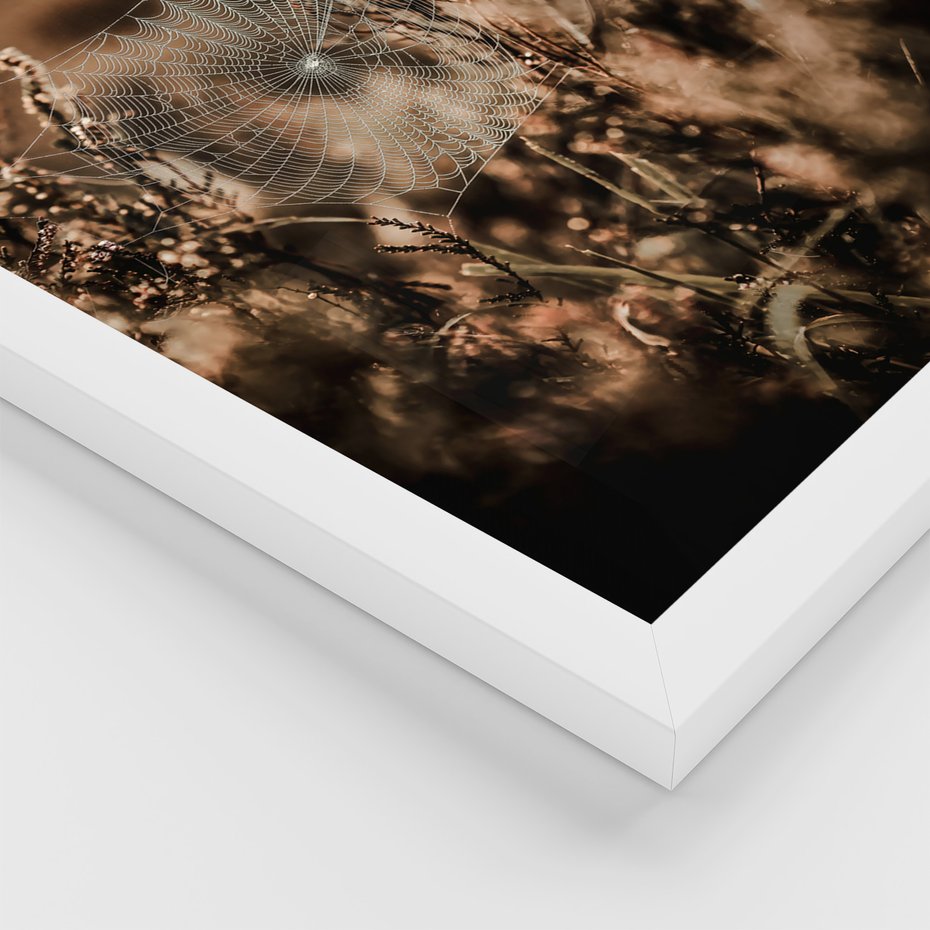 Zestaw obrazy w ramie 30x40 galeria - Boho, cytat, motywacja, trawy - rama biała