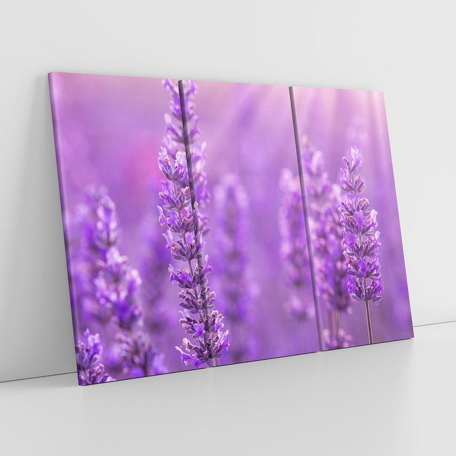 Obraz na płótnie 120x80 - Fioletowa harmonia lawendy - lawenda, fiolet