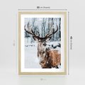 Plakat w ramie 30x40 - Jeleń na Zdjęciu pod Śniegiem - jeleń, zima - rama drewno