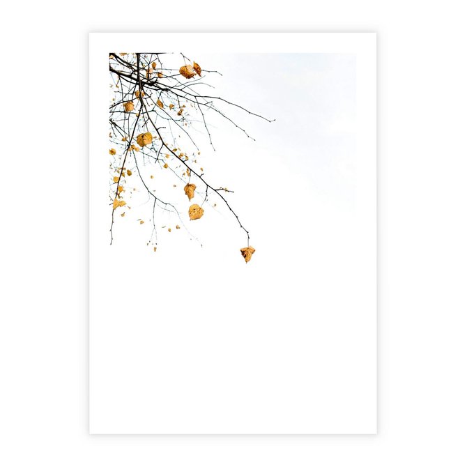 Plakat bez ramy 21x30 - Złota Jesień - drzewo, żółte liście