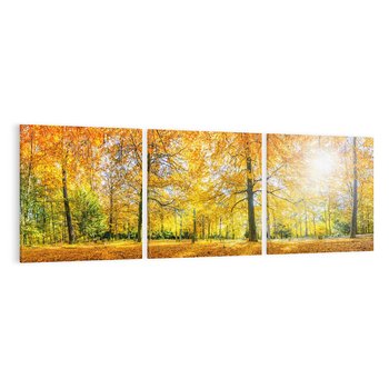 Obraz na płótnie 120x40 - Jesień w Lesie: Urok Lasu - jesień, las