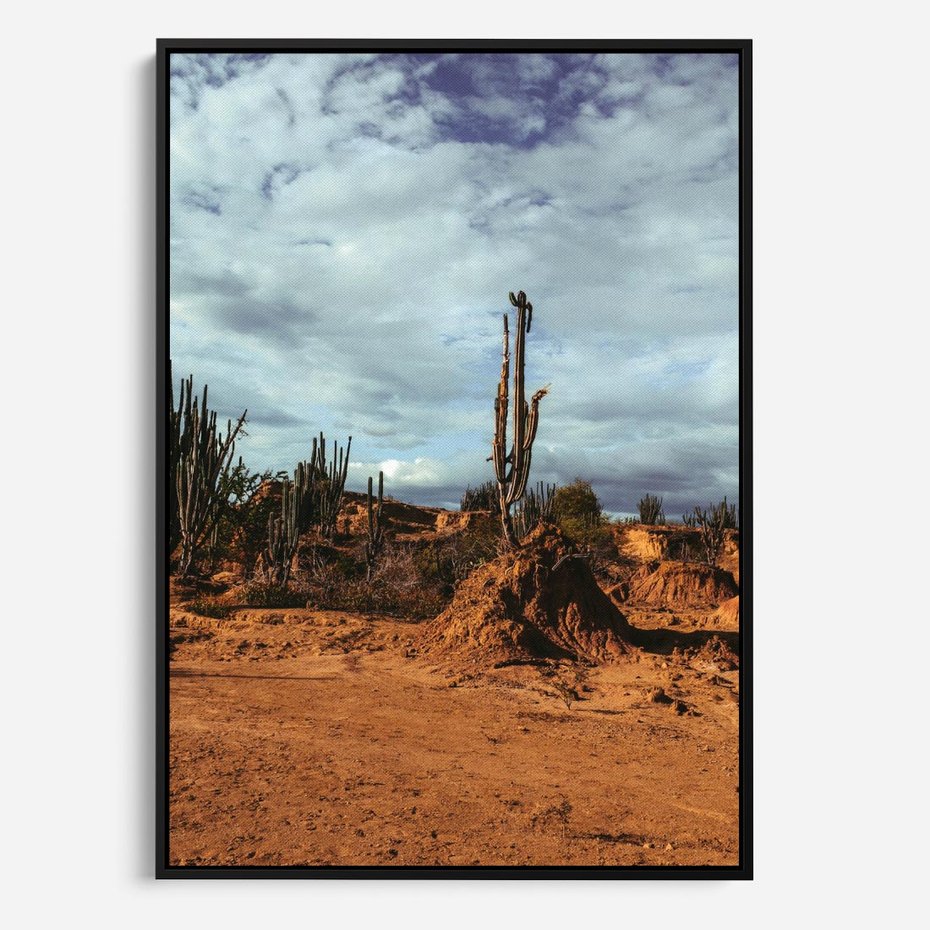 Obraz w ramie 50x70 - Skarby Pustynnego Kanionu - pustynia, kaktusy - rama czarna