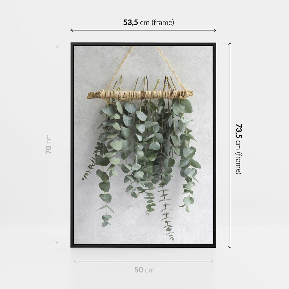 Obraz w ramie 50x70 - Uwodzicielska zieleń eukaliptusa - eukaliptus, zielone - rama czarna
