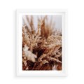 Plakat w ramie 50x70 - Sztuka Suszonych Traw - trawa pampas, suszone trawy - rama biała