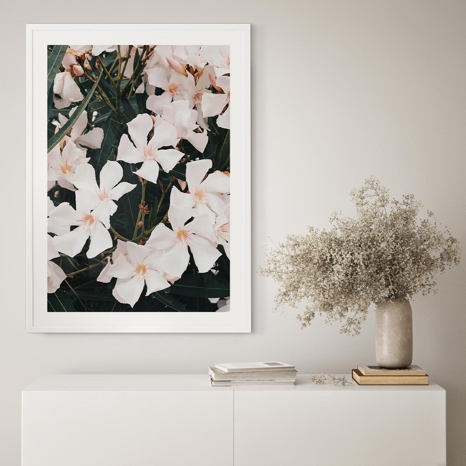 Plakat bez ramy 30x40 - Egzotyczna Uroda - białe kwiaty, tropikalne kwiaty