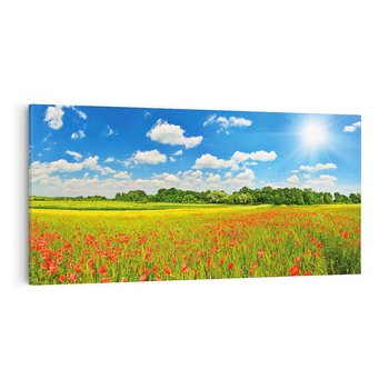 Obraz na płótnie 100x50 - Malownicze maki na łące - maki, łąka