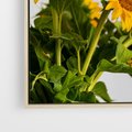 Obraz w ramie 50x50 - Słoneczna Radość - fotografia, żółte słoneczniki - rama drewno