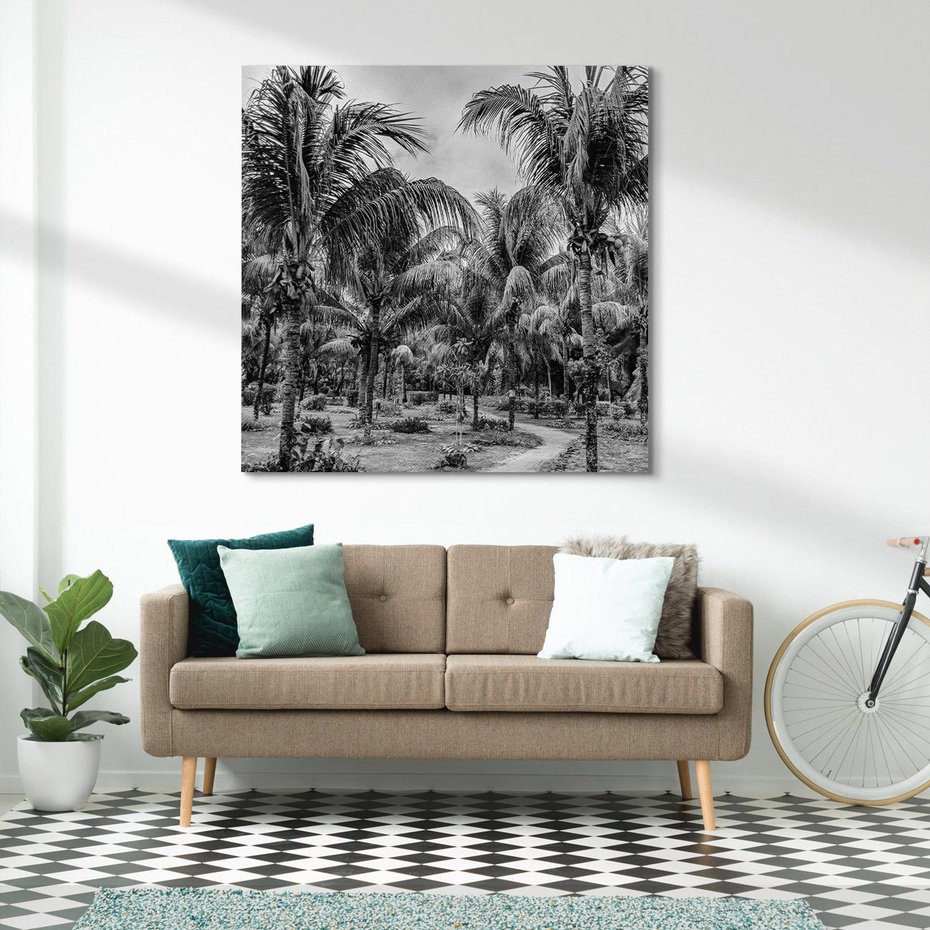 Obraz na płótnie 50x50 - Mroczna Ścieżka Tropików - czarno biała fotografia, ścieżka pośród palm