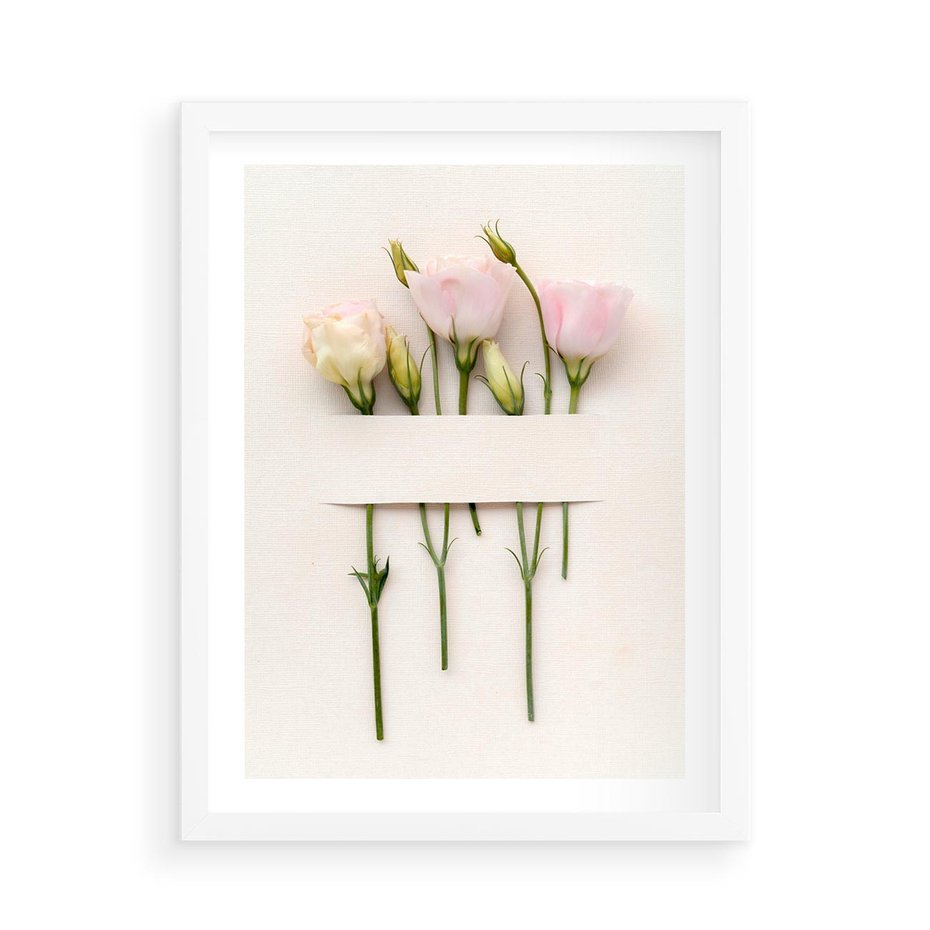 Plakat w ramie 50x70 - Białe kwiatowe uniesienia - białe, kwiaty - rama biała