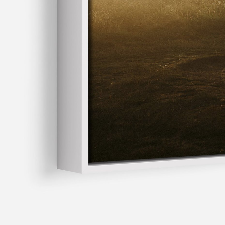 Obraz w ramie 80x120 - Mglisty zachód słońca na ławeczce - mgła, zachód - rama biała