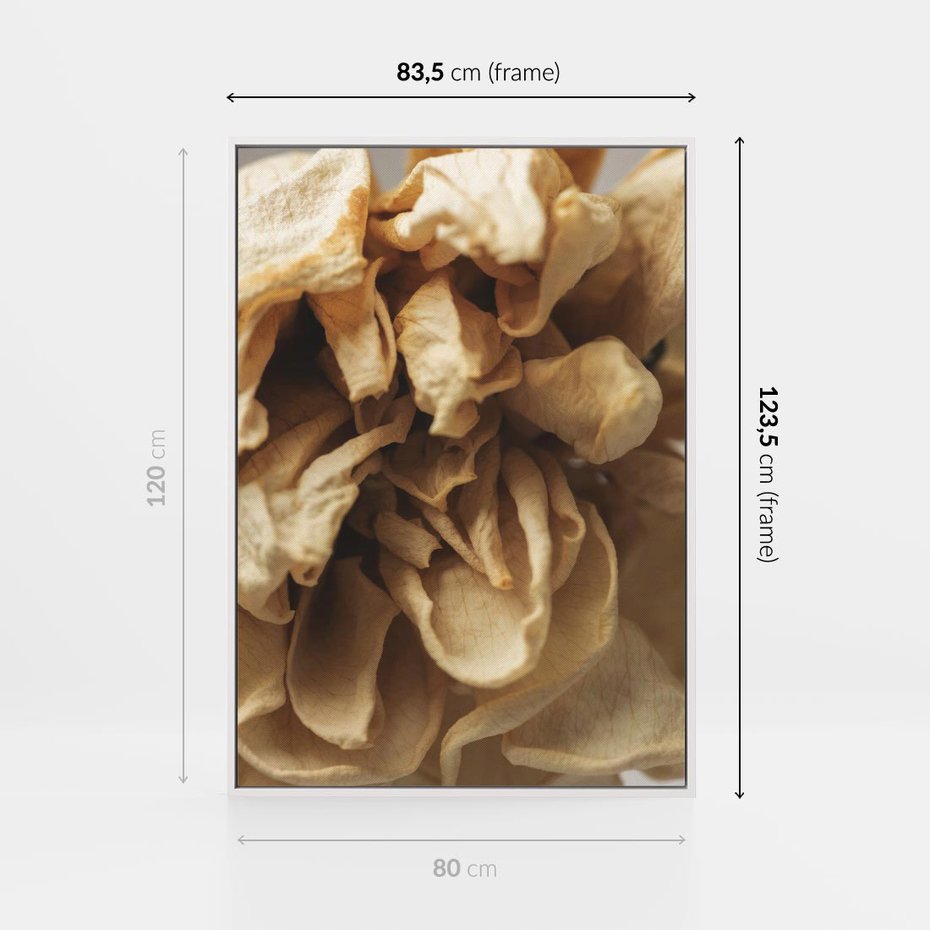 Obraz w ramie 80x120 - Zjawiskowe zasuszone kwiaty - zasuszone, kwiaty - rama biała