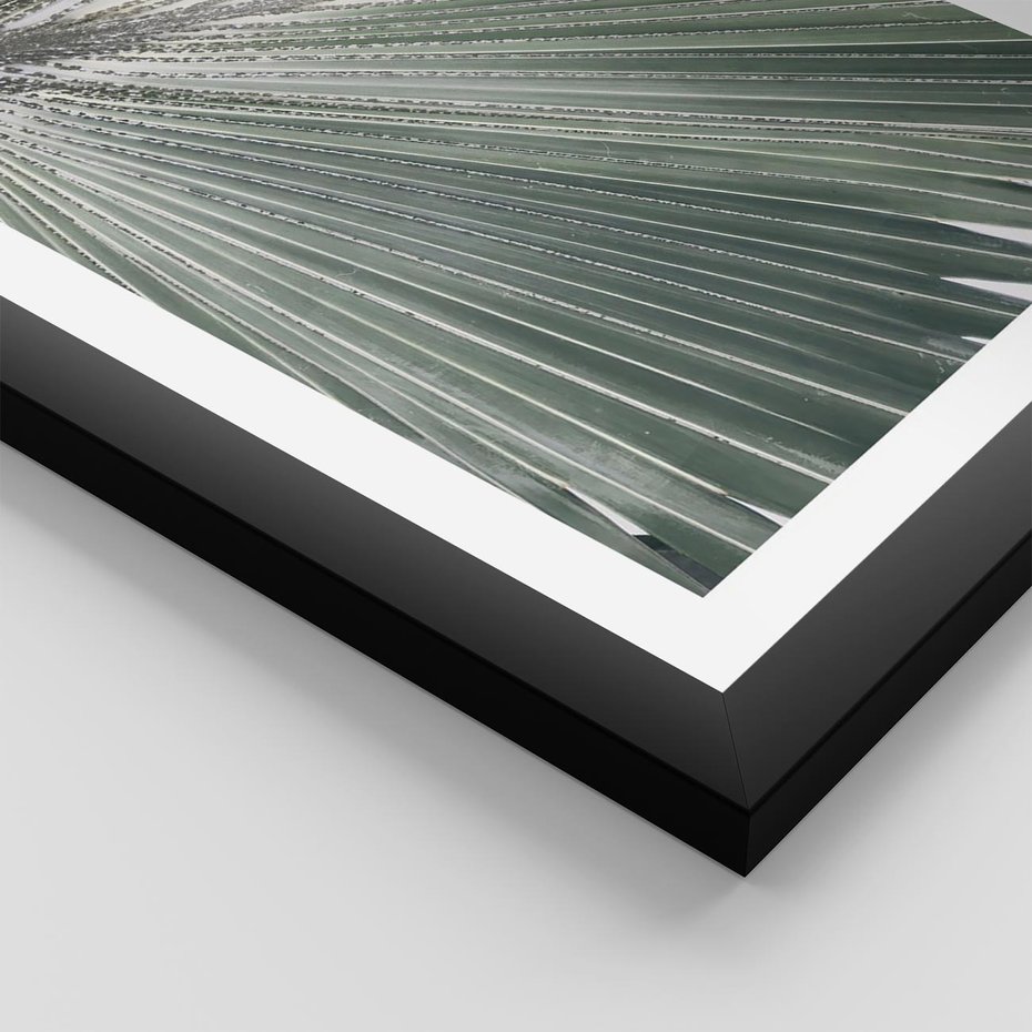 Plakat w ramie 30x40 - Jasnozielony Świat - palma, liść - rama czarna