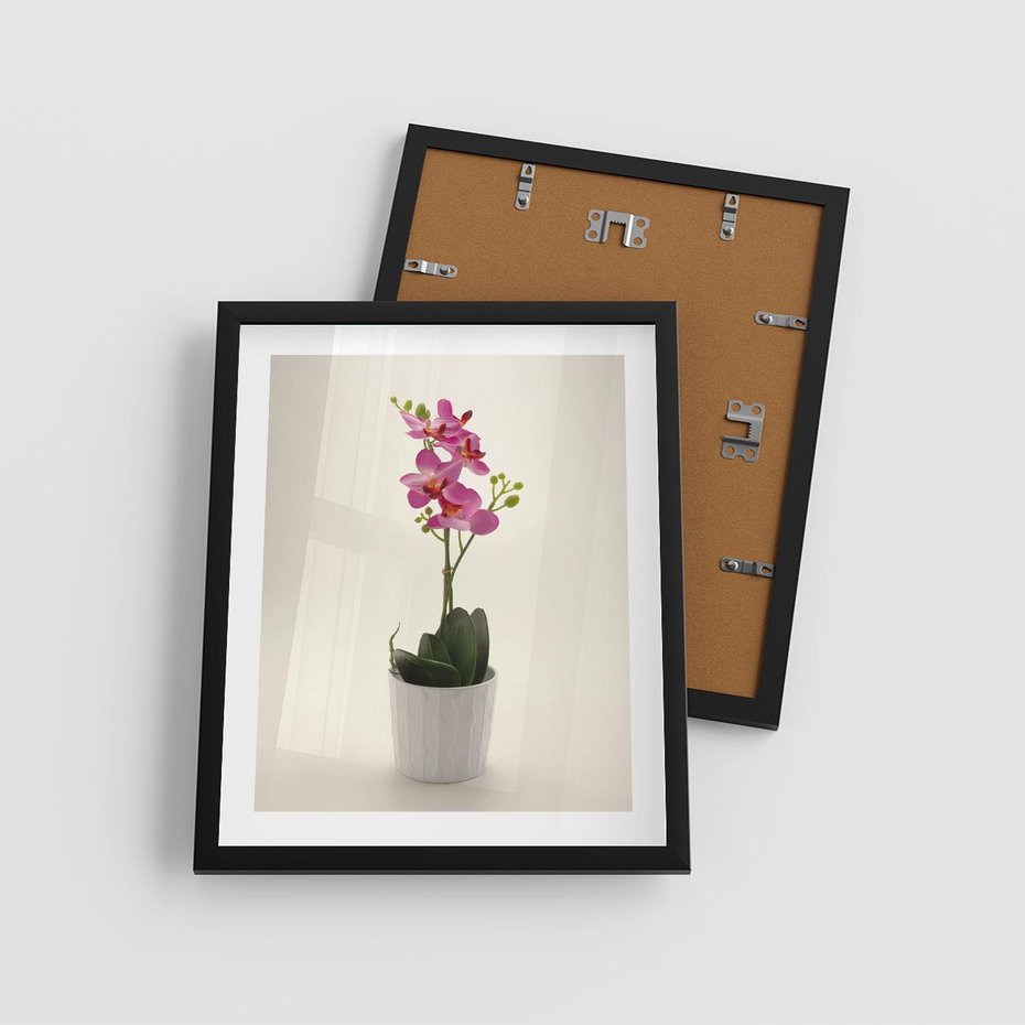 Plakat w ramie 40x50 - Delikatność storczyka orchidei - storczyk, orchidea - rama czarna