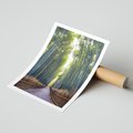 Plakat bez ramy 30x40 - Urokliwa dróżka w lesie - las, dróżka